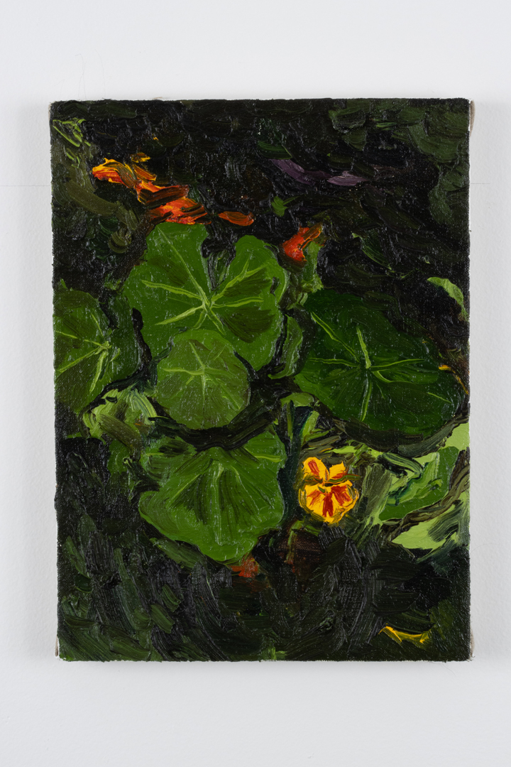 A messy oil painting of nasturtiums.