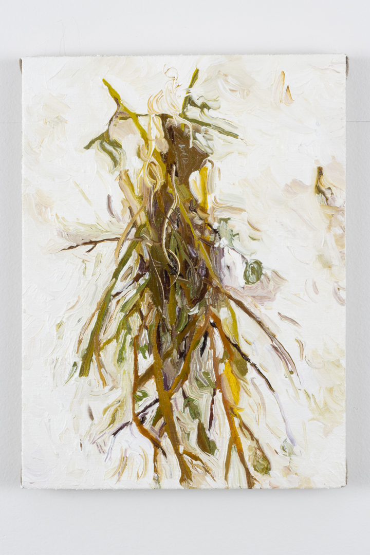 A messy oil painting of hanging drying plants.