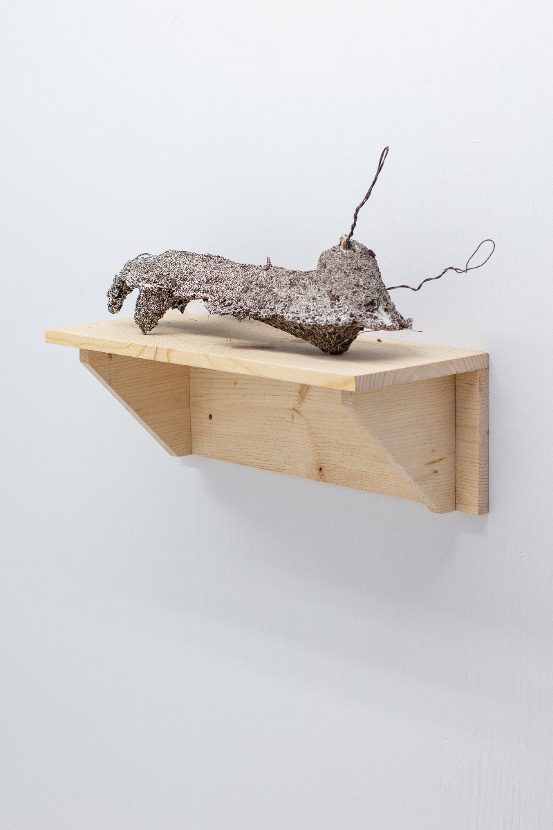 A sculpture resembling a distorted human arm on a wood shelf